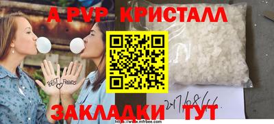 шишки Будённовск