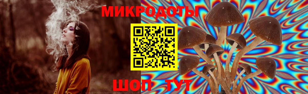 Липецк  Псилоцибиновые грибы мухоморы  Вход с VPN  Псилоцибиновые грибы прущие грибы 